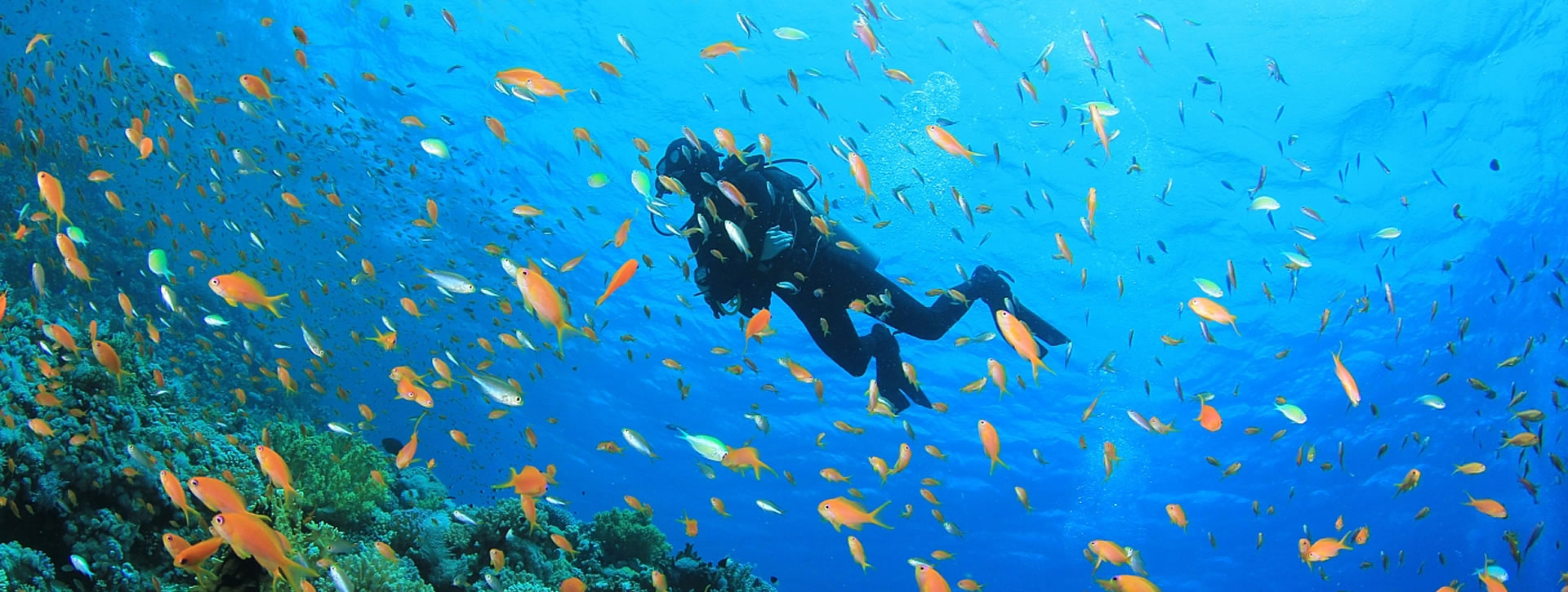 Red Sea - Dive Sites