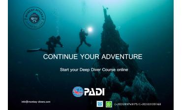 Start your courses from home, with the Padi Digital Products