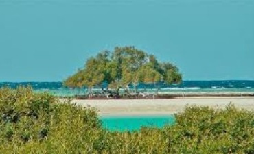 Sharm el Loly et la plage des Mangroves