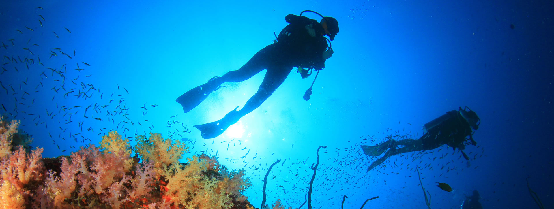 Scopri le immersioni subacquee
