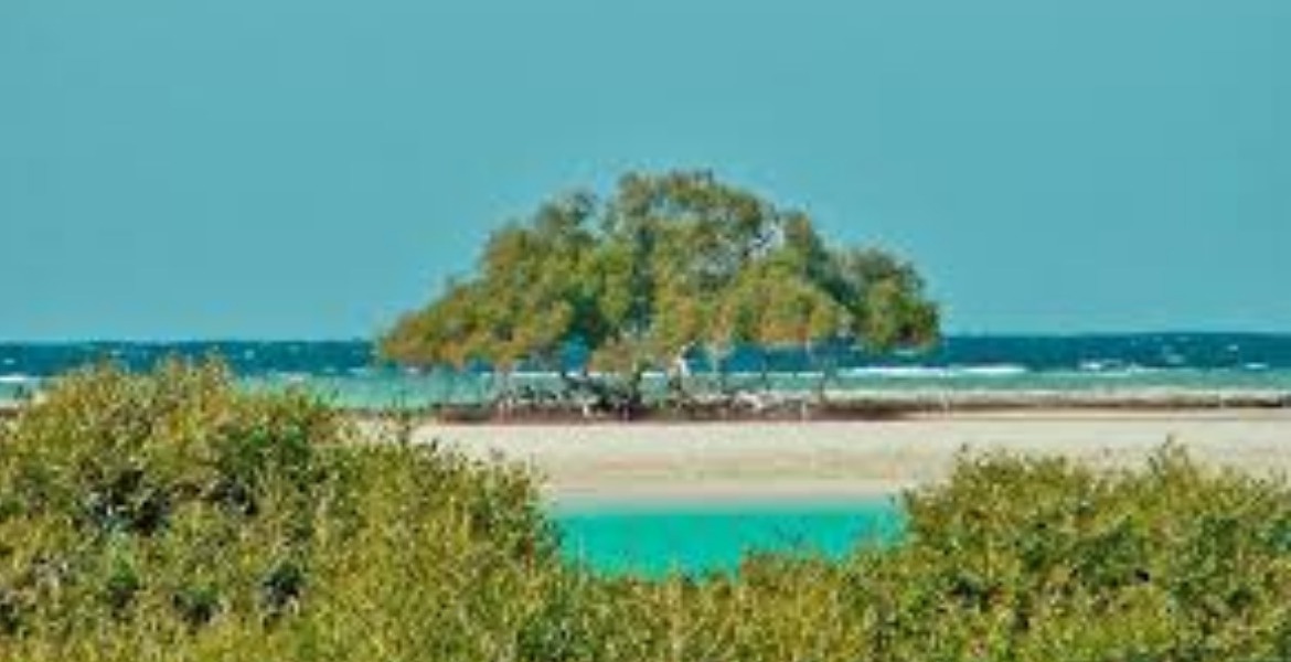 Sharm el Loly and the Mangrove’s beach