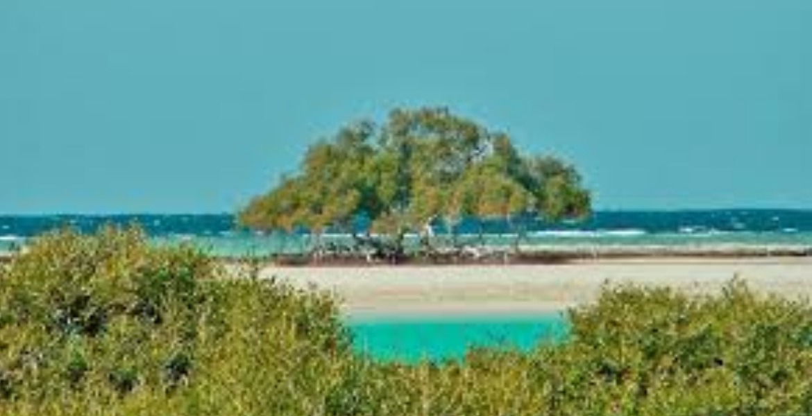 Sharm el Loly et la plage des Mangroves